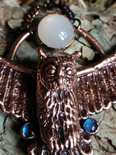 Carica l'immagine nel visualizzatore di Gallery, Gufo maestro