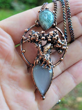 Carica l'immagine nel visualizzatore di Gallery, Antico Ulivo