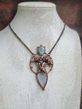 Carica l'immagine nel visualizzatore di Gallery, Antico Ulivo