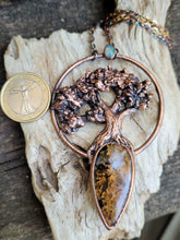 Carica l'immagine nel visualizzatore di Gallery, Antica Quercia