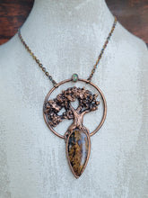 Carica l'immagine nel visualizzatore di Gallery, Antica Quercia