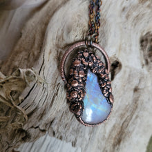 Carica l'immagine nel visualizzatore di Gallery, Flora