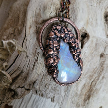 Carica l'immagine nel visualizzatore di Gallery, Flora