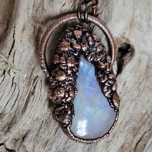 Carica l'immagine nel visualizzatore di Gallery, Flora