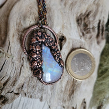 Carica l'immagine nel visualizzatore di Gallery, Flora