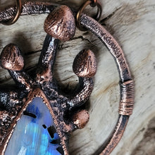 Carica l'immagine nel visualizzatore di Gallery, Plarium