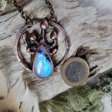 Carica l'immagine nel visualizzatore di Gallery, Plarium