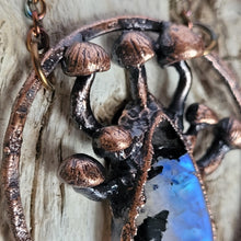 Carica l'immagine nel visualizzatore di Gallery, Rumlandir