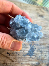 Carica l'immagine nel visualizzatore di Gallery, Celestina
